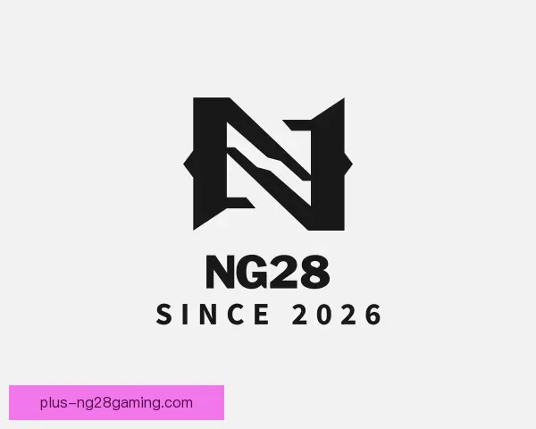 介绍NG28